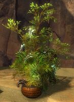 Basic Shrub.jpg