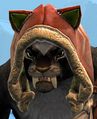 Appearance on a female charr.