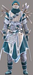 Crystal Nomad Outfit