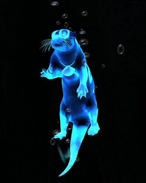 File:Otter (familiar).jpg
