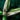 Pruning Shear.png