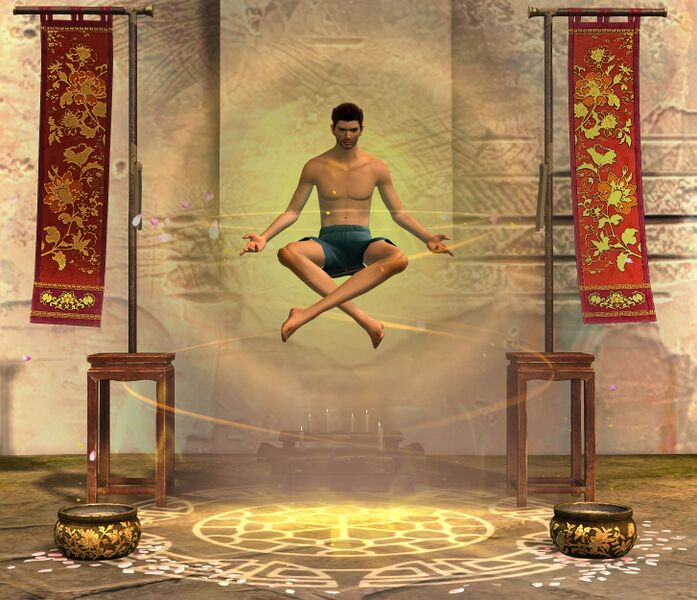 File:Qi Focusing Chair human male.jpg