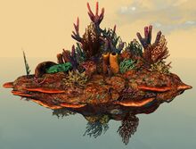 Underwater Coral Formation front.jpg