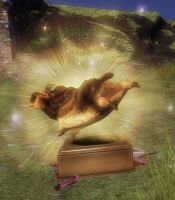 WvW Golden Dolyak Finisher.jpg