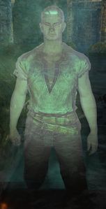 Wynn.jpg