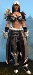 Experimental Envoy armor (medium) norn female front.jpg