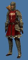 Mini Ministry Guard.jpg
