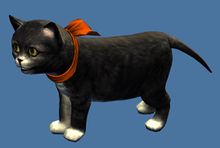 Mini Zuzu, Cat of Darkness.jpg