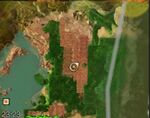 Playing with the Infants12-map.jpg