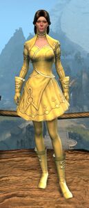 Appearance on light armor.
