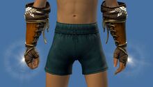 Sun-Blessed Zephyrite Gloves.jpg