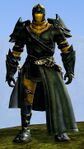Norn male thief.