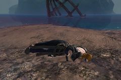 Tiger Attack Victim.jpg