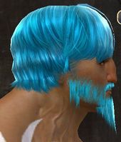 Unique norn male hair side 12.jpg