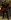 Whispers norn male heavy 1 (HoT rifle).jpg