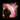 Arcane Shield.png