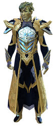 Council Watch armor sylvari male front.jpg