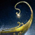 Crescent Canoe Skiff Skin.png