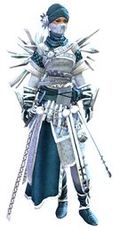 Crystal Nomad Outfit