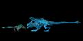 Size comparison of Drakkar and Claw of Jormag.