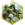 Druid