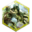 Druid