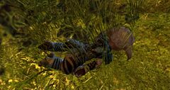 Fallen Priory Researcher.jpg