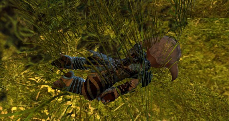 File:Fallen Priory Researcher.jpg