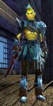 Pirate sylvari male 7.jpg