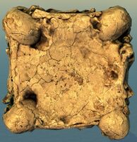 Awakened Bone Column top.jpg