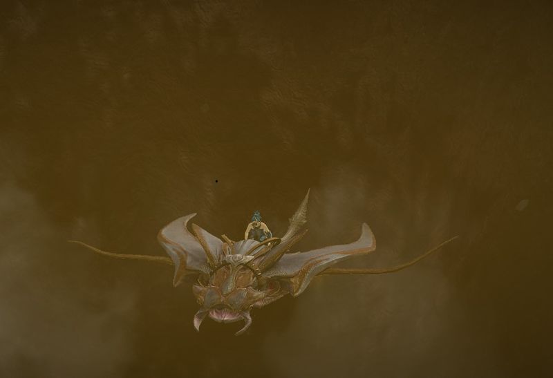File:Boiling Skimmer.jpg