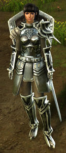 Crusader Hiroki.jpg