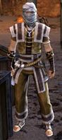 Desert Bandit 4.jpg
