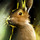 Friend of Rabbits.png
