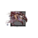Juvenile Carrion Devourer.png