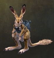 Kourna Jackrabbit.jpg