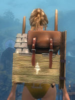 Ornate Huntsman's Backpack.jpg