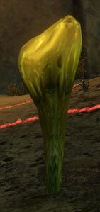 Pustule.jpg
