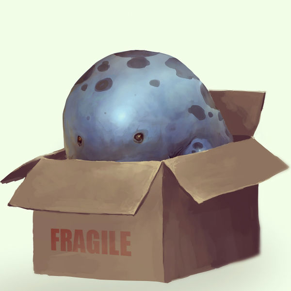File:Quaggan in a box 2.jpg