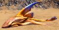 Sand Shark Pup.jpg