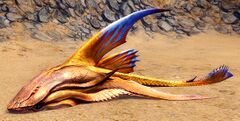 Sand Shark Pup.jpg