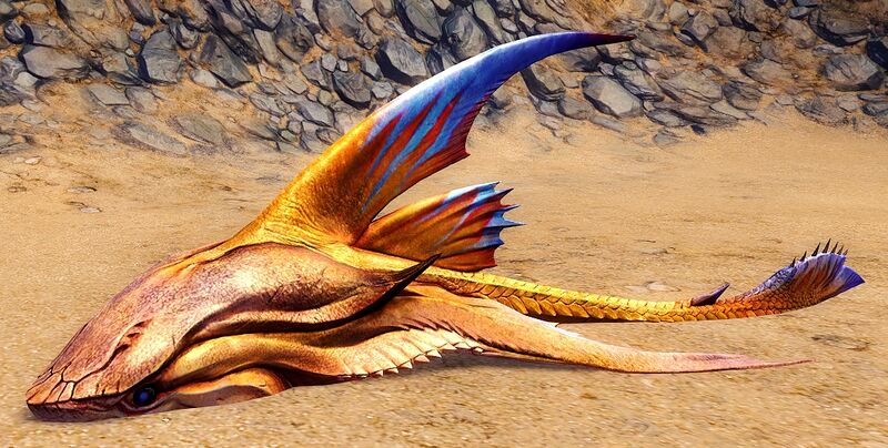 File:Sand Shark Pup.jpg