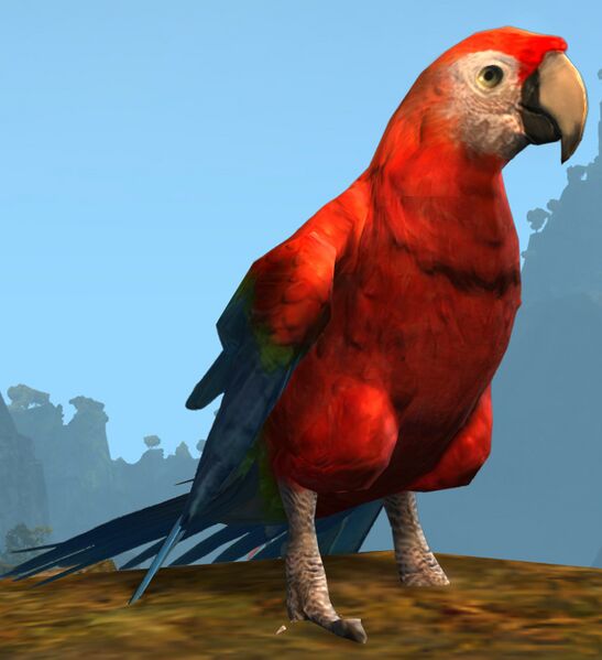 File:Tropical Bird (Macaw).jpg