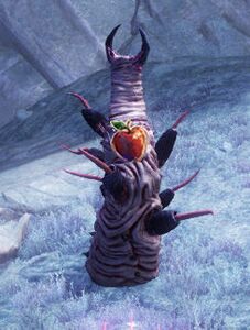 Wild Bristlefruit.jpg