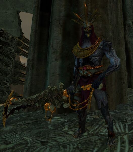 File:Bone Palace Guard.jpg