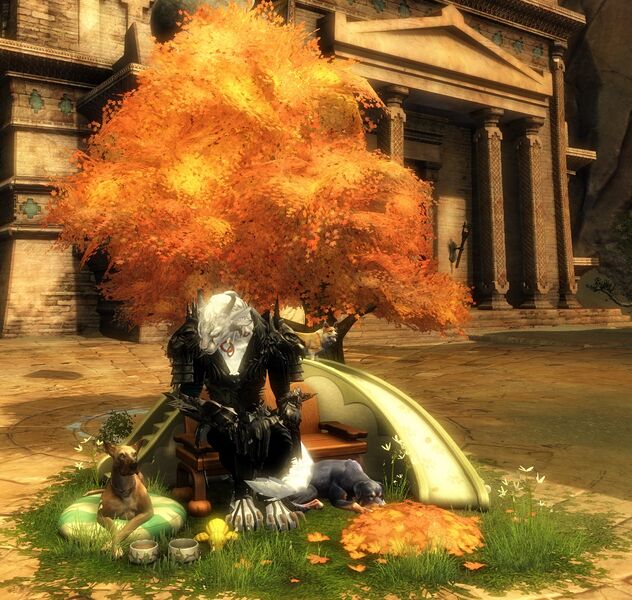 File:Dog Bench Chair charr female.jpg