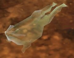 Frog (ghost).jpg