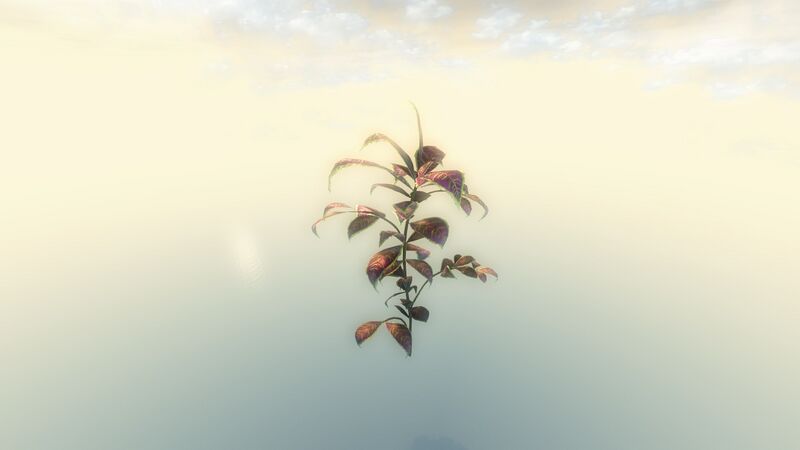 File:Jungle Plant.jpg
