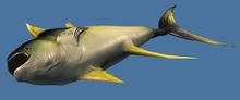 Mini Krytan Floppy Fish.jpg