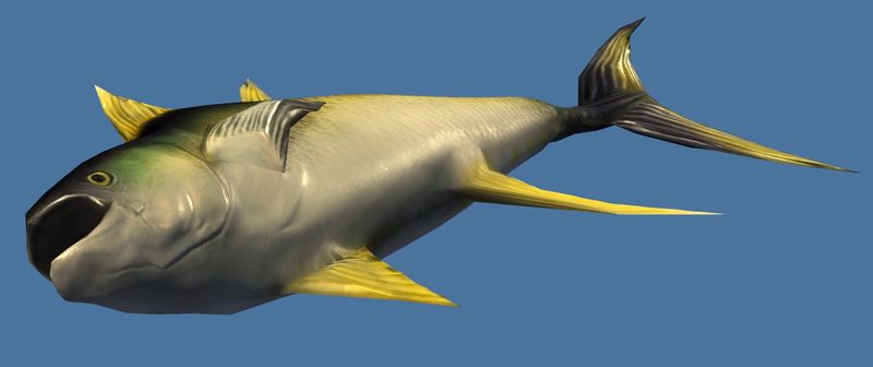 File:Mini Krytan Floppy Fish.jpg